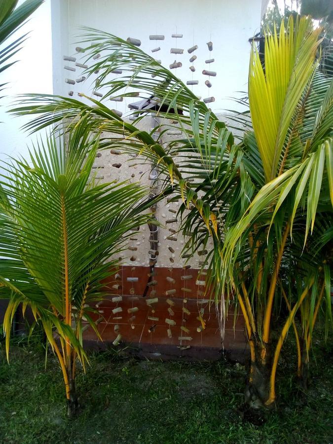 Maison Amantine Anse Royale Exterior photo