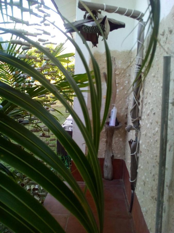 Maison Amantine Anse Royale Exterior photo